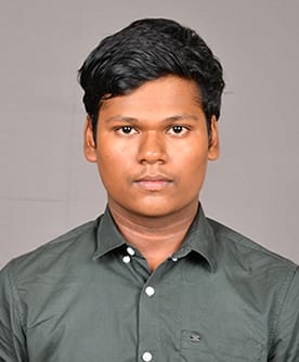 Parthasarathi portrait